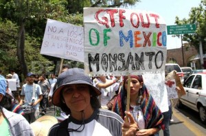 GTF out of Mexico Monsanto